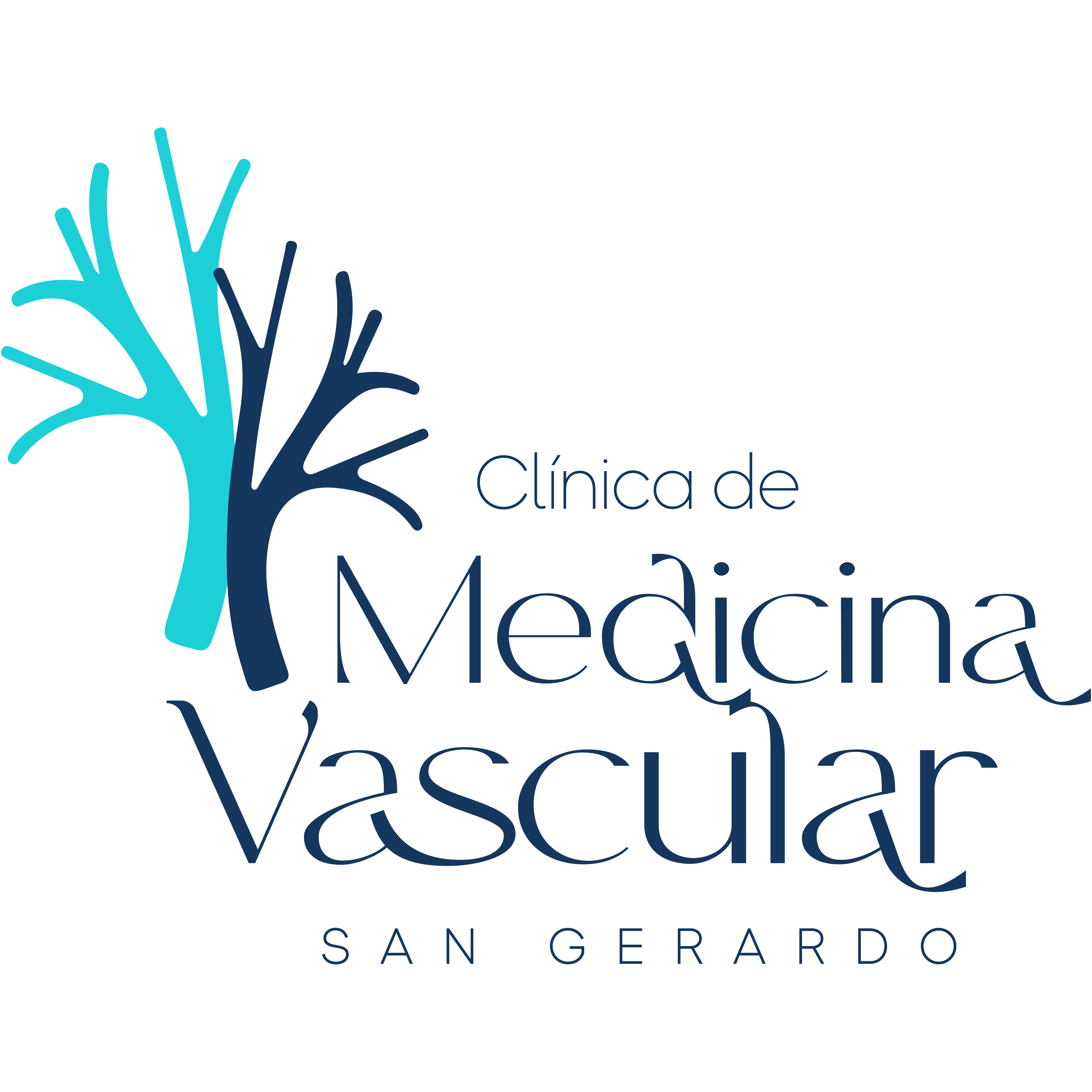 Clínica de Medicina Vascular San Gerardo
